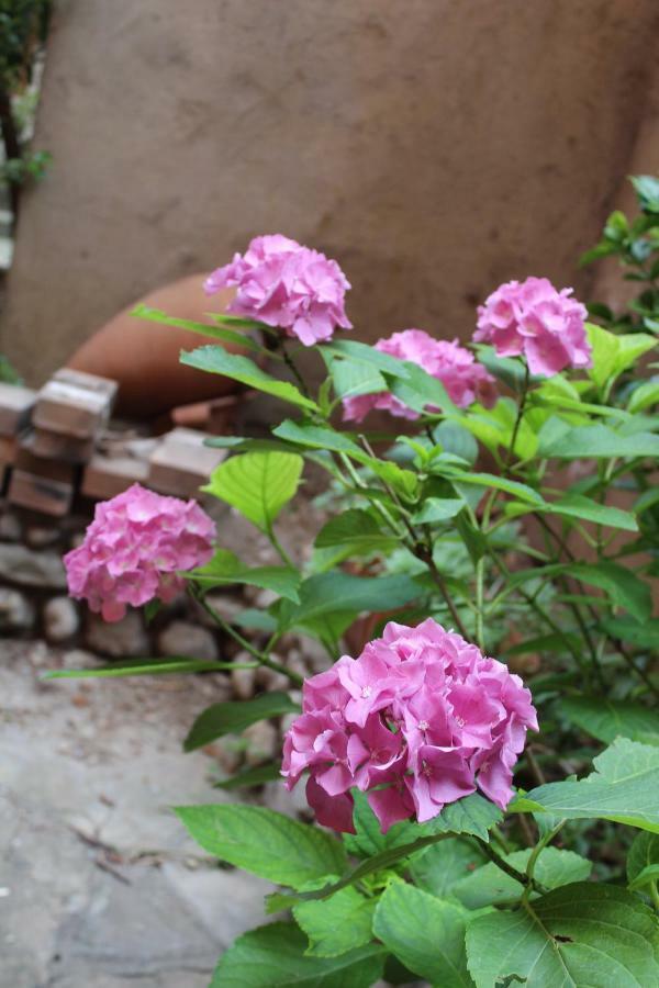 만델로델라리오 Il Giardino Dei Fiori 아파트 외부 사진